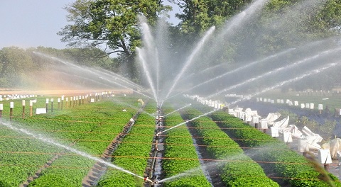 Sprinkler Irrigation